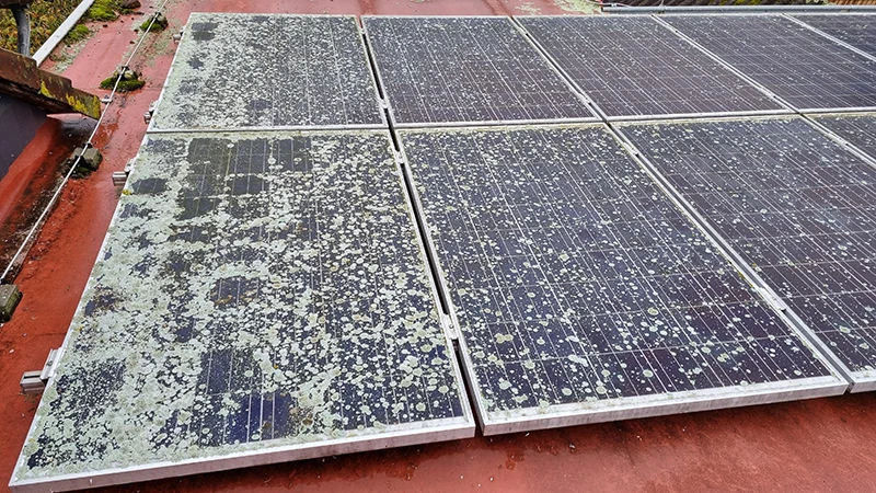Contaminated solar panels are a thing of the past thanks to drones and highly effective cleaning agents